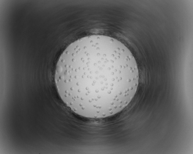 X0000089350569200706291023