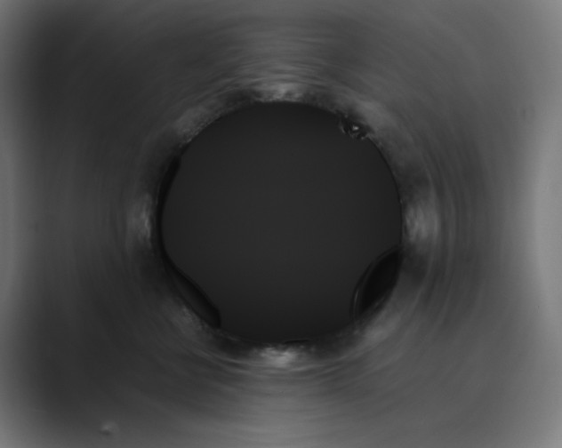 X0000089350570200706291023