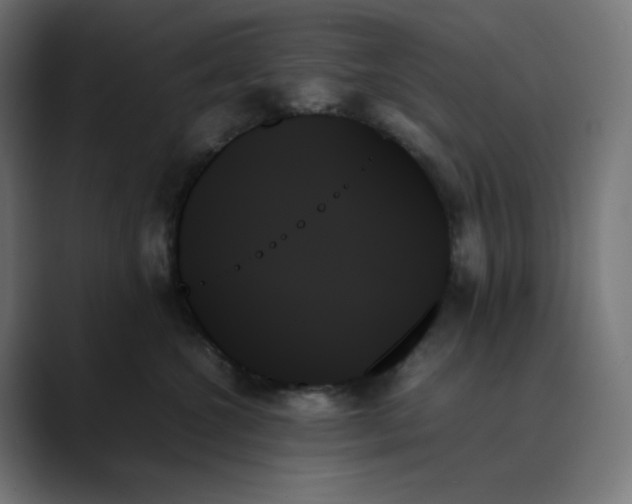 X0000089350572200706291024
