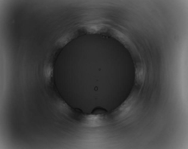 X0000089350574200706291024
