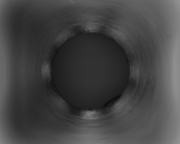 X0000089350575200706291024