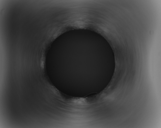 X0000089350576200706291024