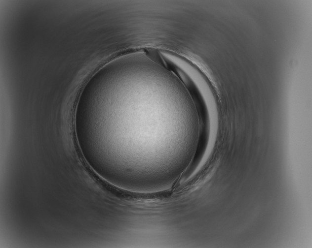 X0000089350577200706291023