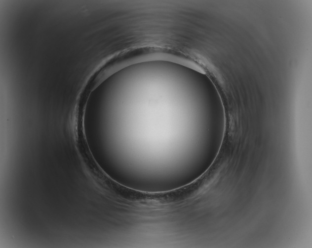 X0000089350580200706291023