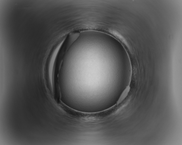 X0000089350581200706291023