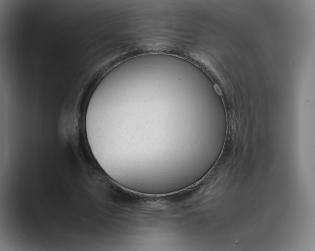 X0000089350583200706291023