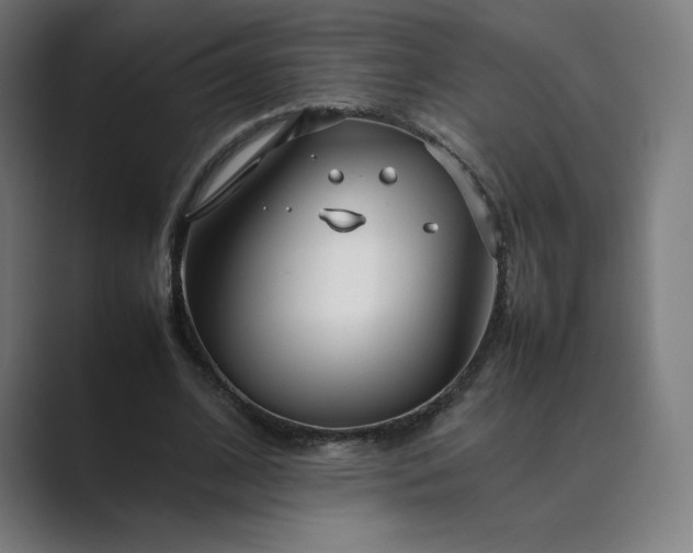 X0000089350584200706291023