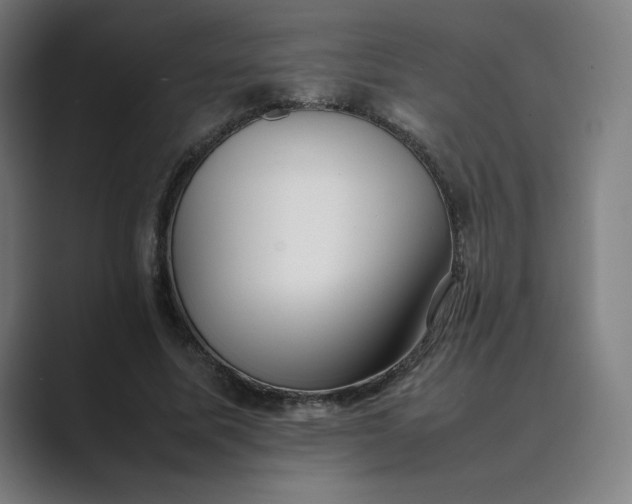 X0000089350587200706291023