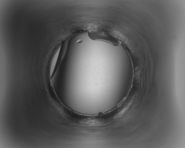 X0000089350589200706291023