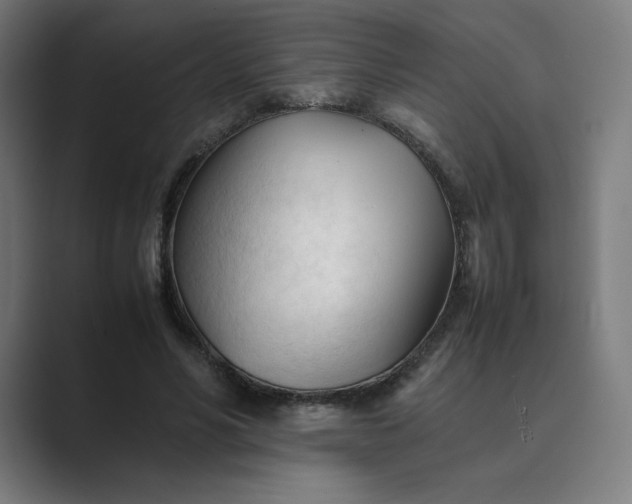 X0000089350590200706291023
