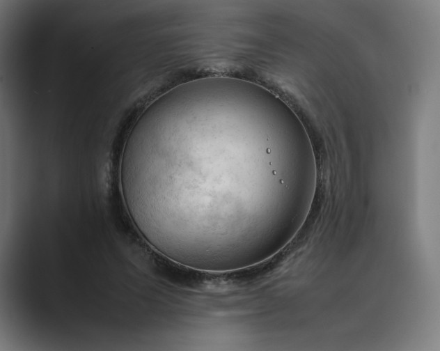 X0000089350591200706291023