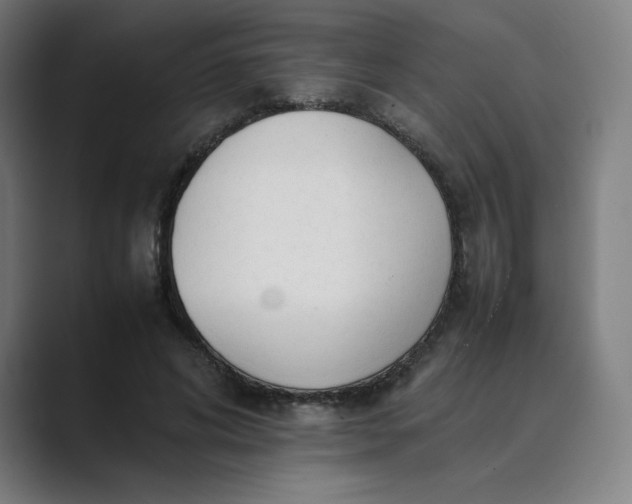 X0000089350592200706291023