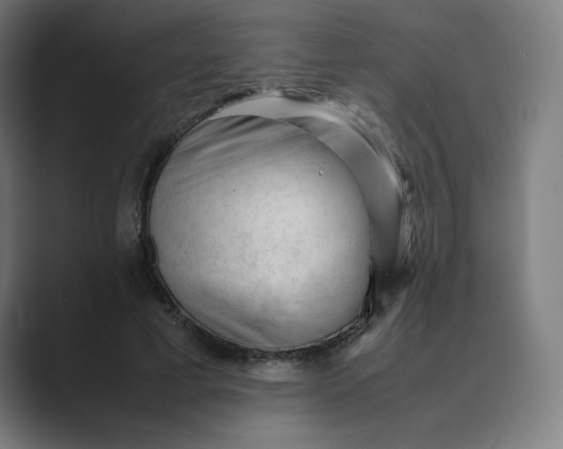 X0000089350593200706291023