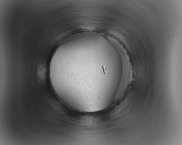 X0000089350596200706291023
