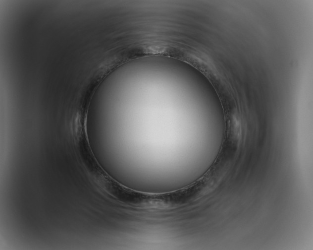 X0000089350598200706291023