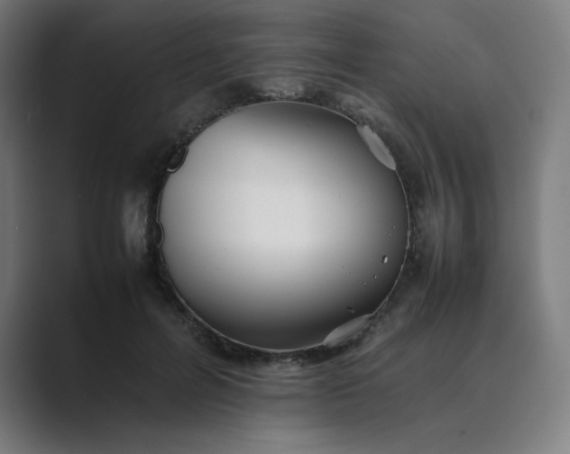 X0000089350600200706291023