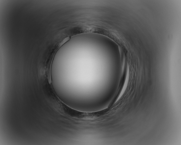 X0000089350601200706291023