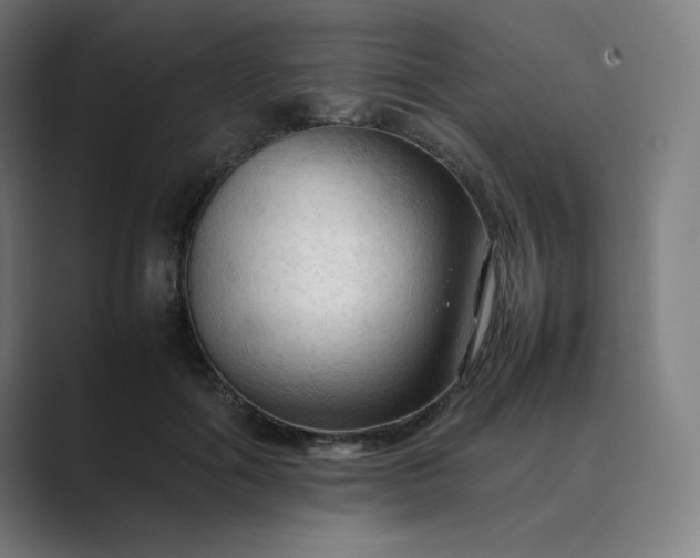 X0000089350602200706291023
