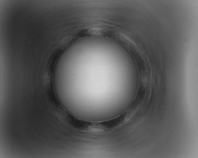 X0000089350603200706291023