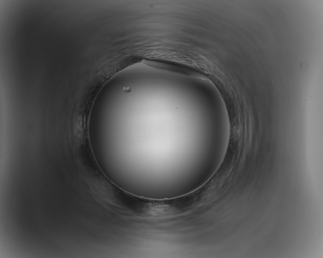 X0000089350605200706291023