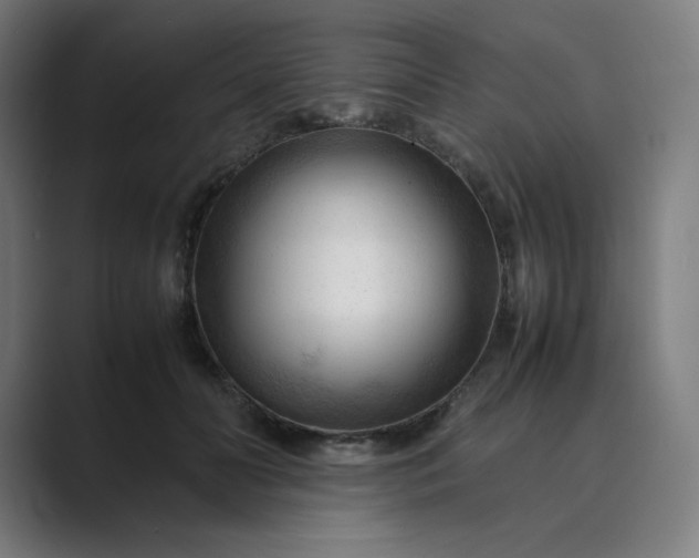X0000089350606200706291023