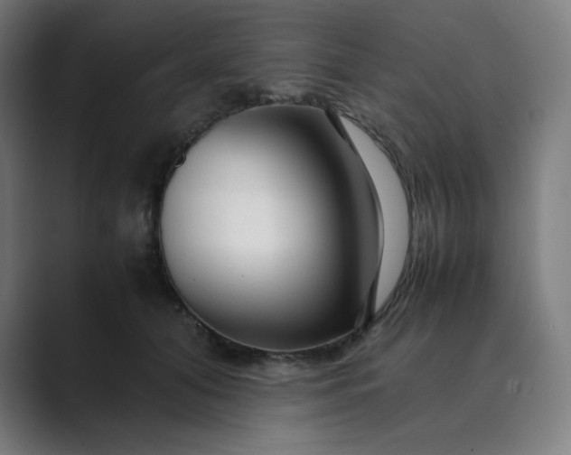 X0000089350608200706291023