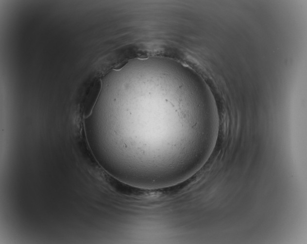 X0000089350609200706291023