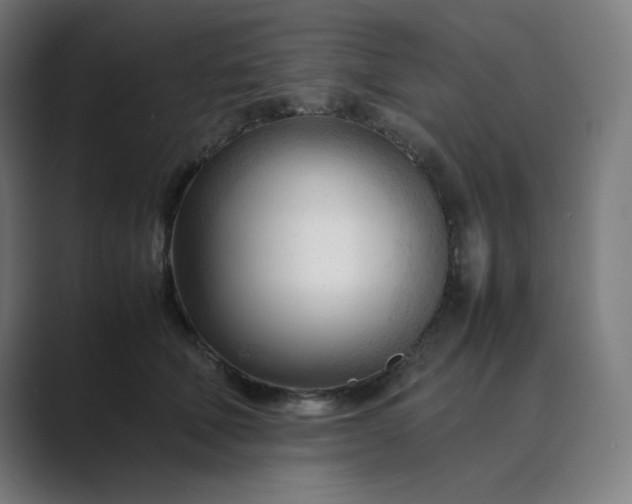 X0000089350610200706291022