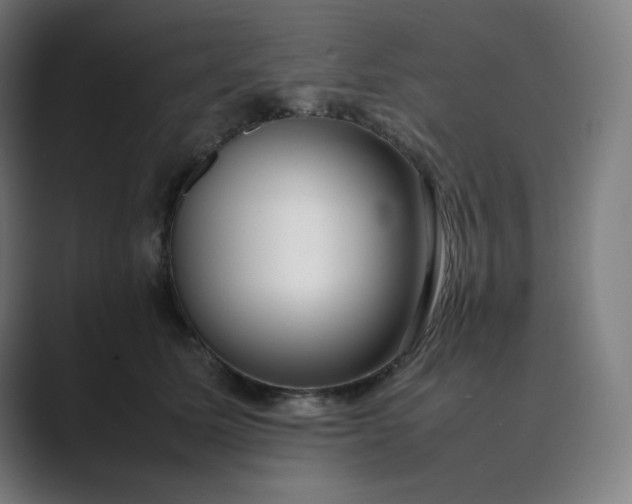 X0000089350611200706291022