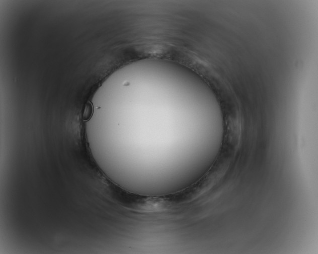 X0000089350612200706291022