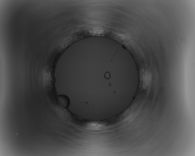 X0000089350614200706291022