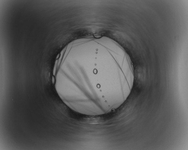 X0000089350615200706291022