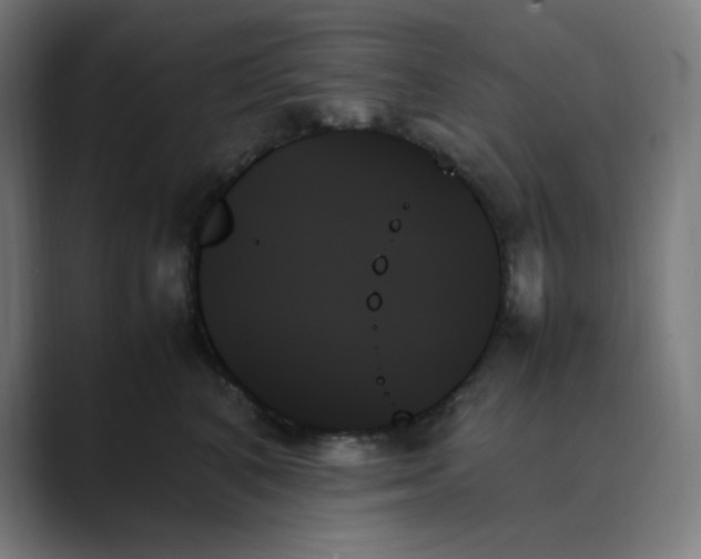 X0000089350616200706291022