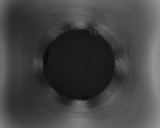 X0000089350617200706291022