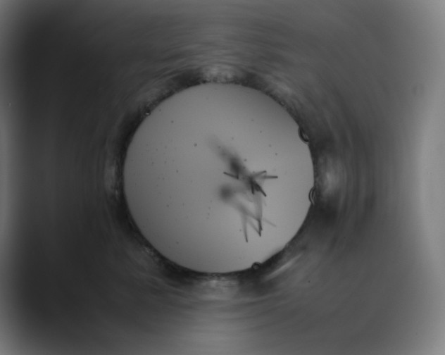 X0000089350619200706291022