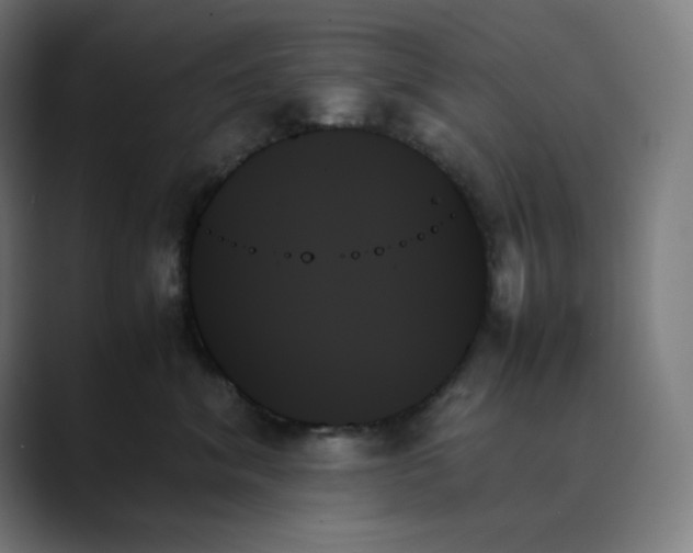 X0000089350620200706291022