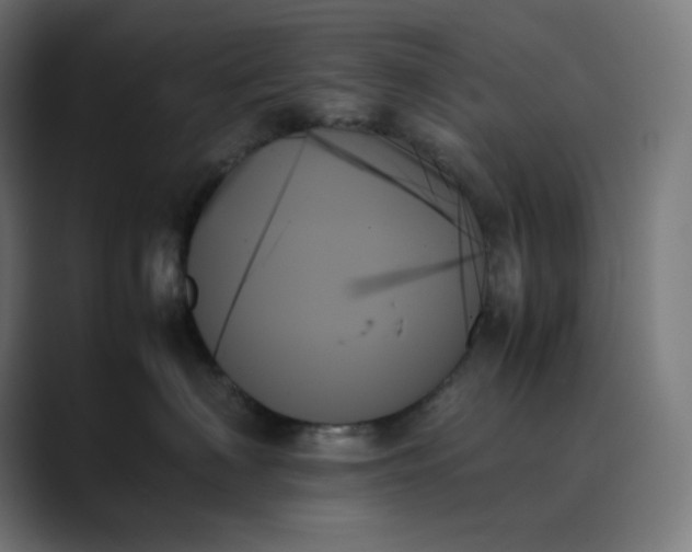 X0000089350622200706291022