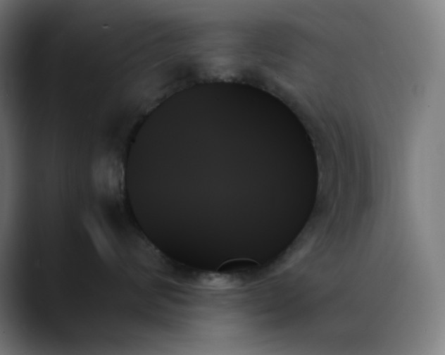 X0000089350624200706291022