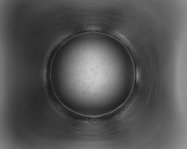 X0000089350627200706291022