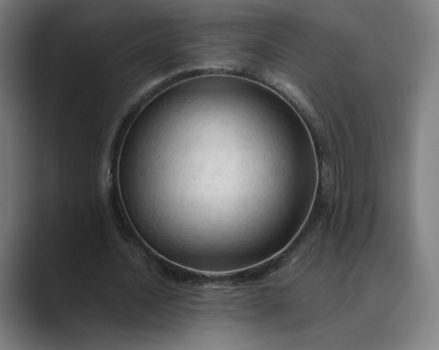 X0000089350628200706291022