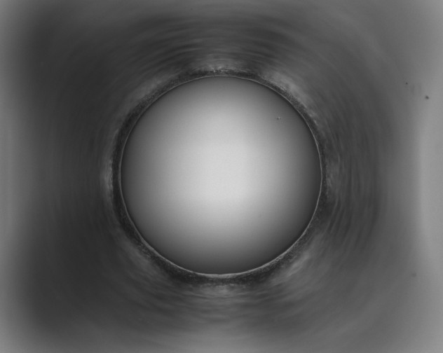 X0000089350629200706291022