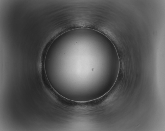 X0000089350630200706291022