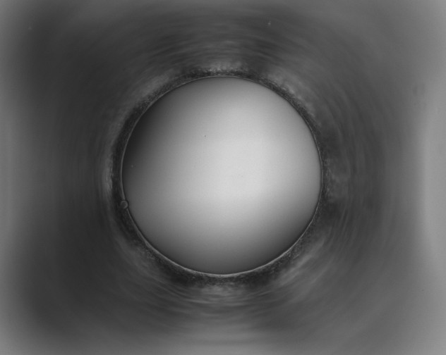 X0000089350631200706291022