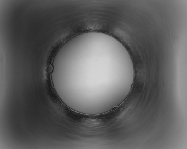 X0000089350635200706291022