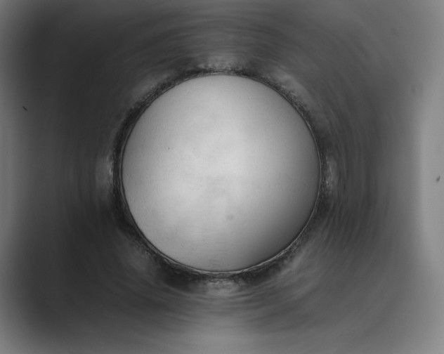 X0000089350636200706291022