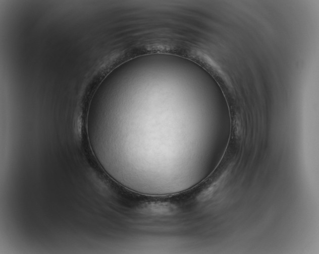 X0000089350637200706291022