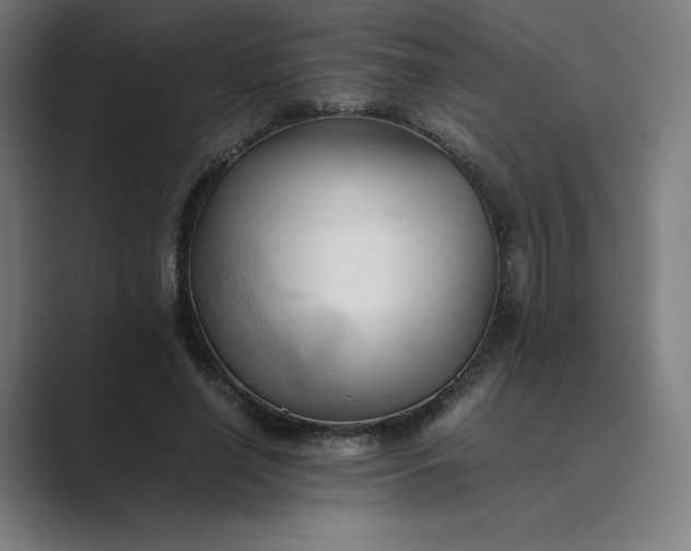 X0000089350638200706291022