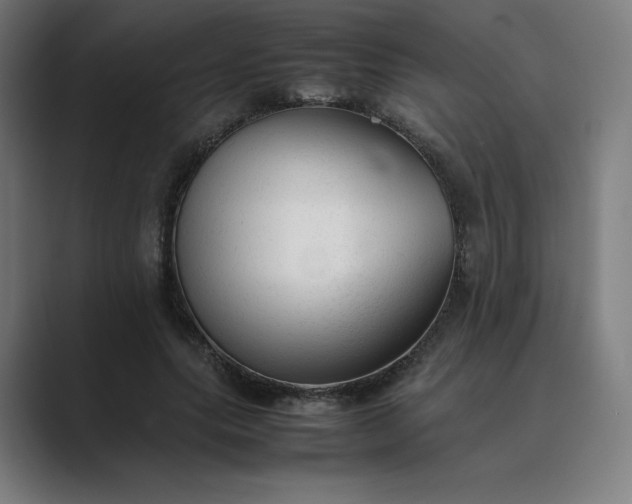 X0000089350639200706291022