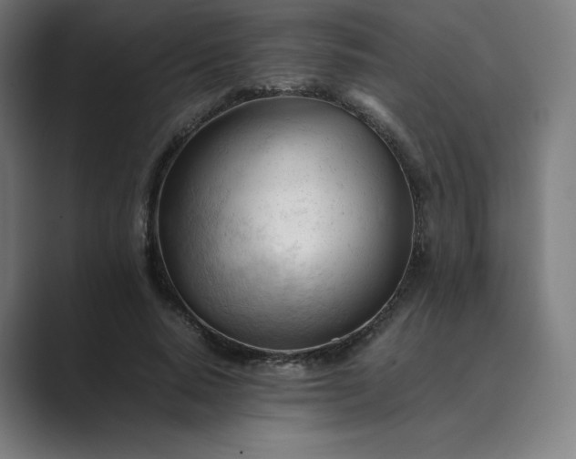 X0000089350640200706291022