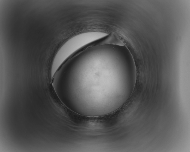 X0000089350641200706291022